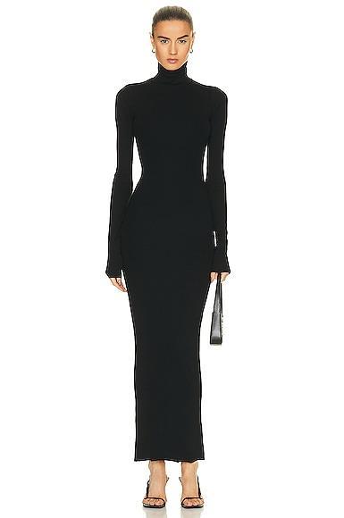 Eterne Long Sleeve Turtleneck Maxi Dress Product Image