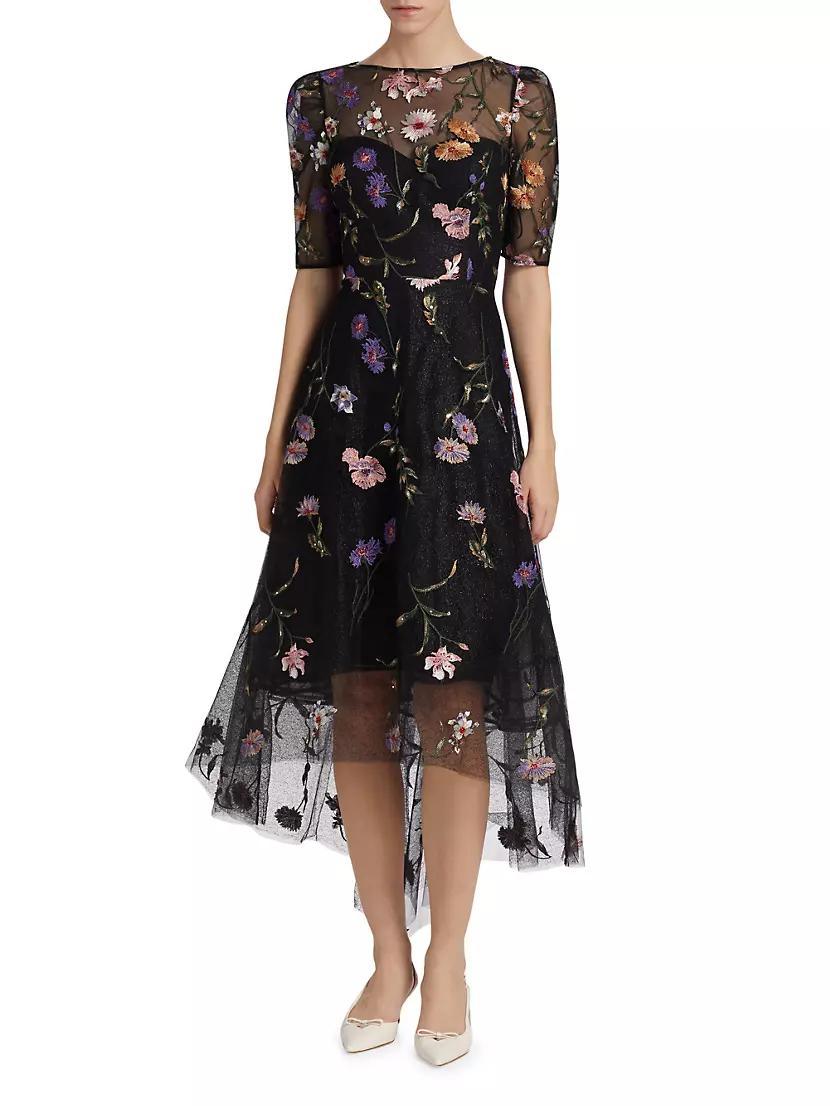 Embroidered Floral Tulle Fit-N-Flare Dress Product Image